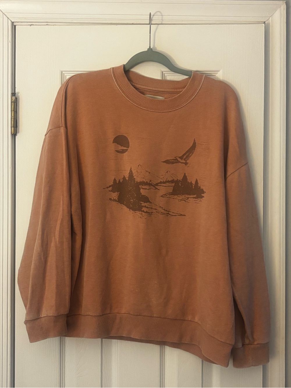 Rust Brown Graphic Crewneck Sweater